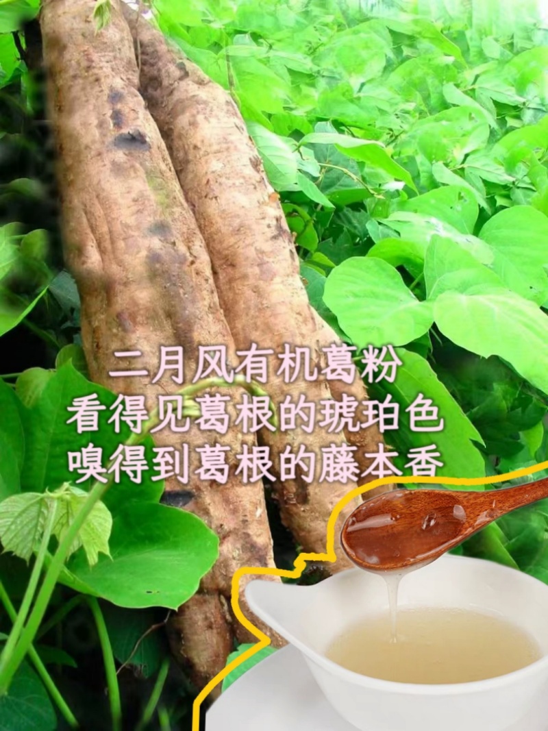 二月風(fēng)有機(jī)葛粉，看得見葛根的琥珀色，嗅得到葛根的藤本香_800.jpg