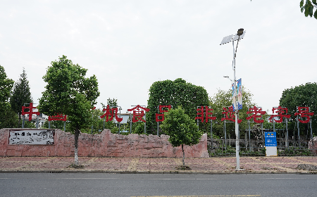 當定制葛粉時，我們真正在選擇什么？