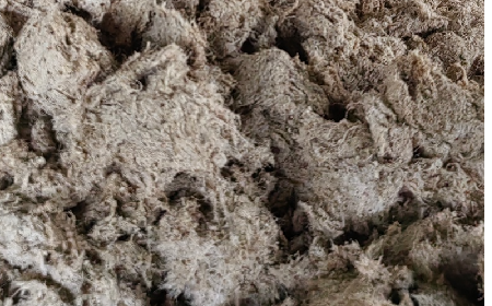 深入大洪山，只為一口純凈 -二月風(fēng)今冬野生葛根收購(gòu)紀(jì)實(shí)